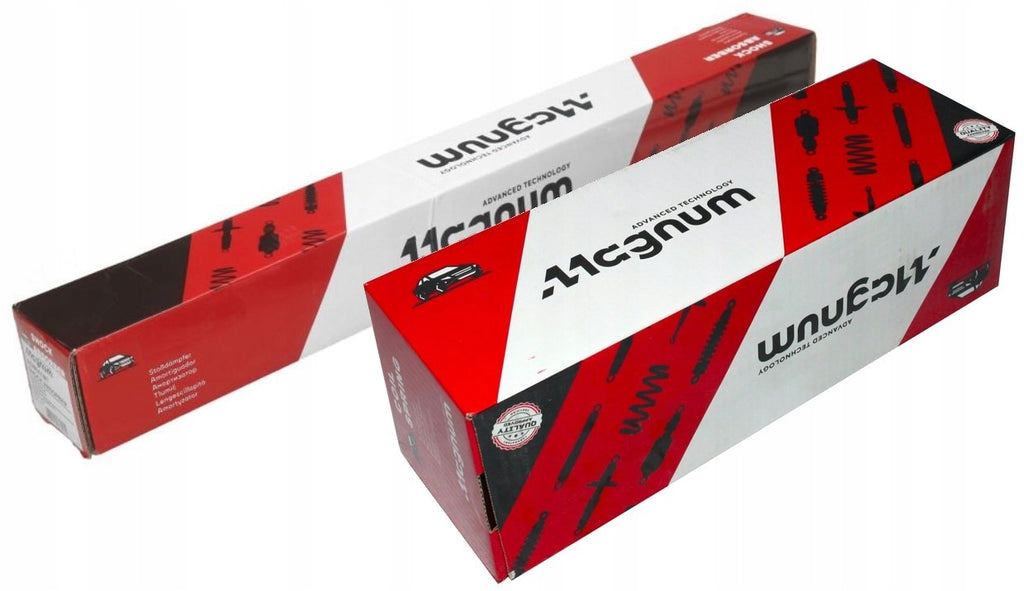 AMMORTIZZATORI ROADMATIC POST