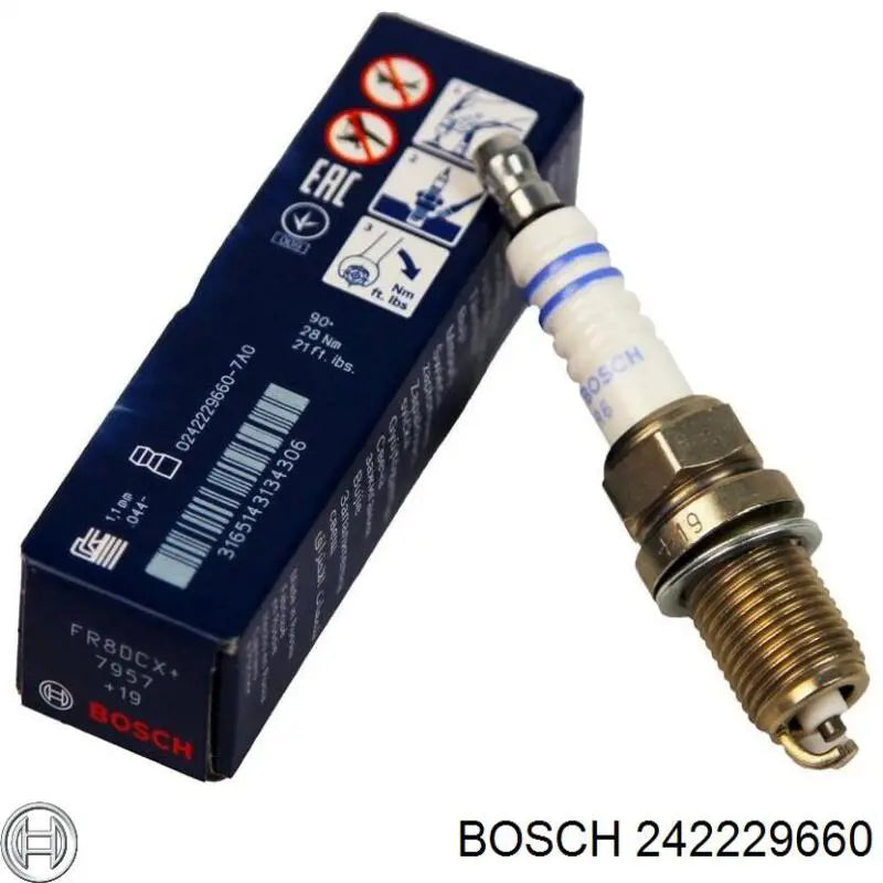 CANDELA FR8DCX+ (+19)