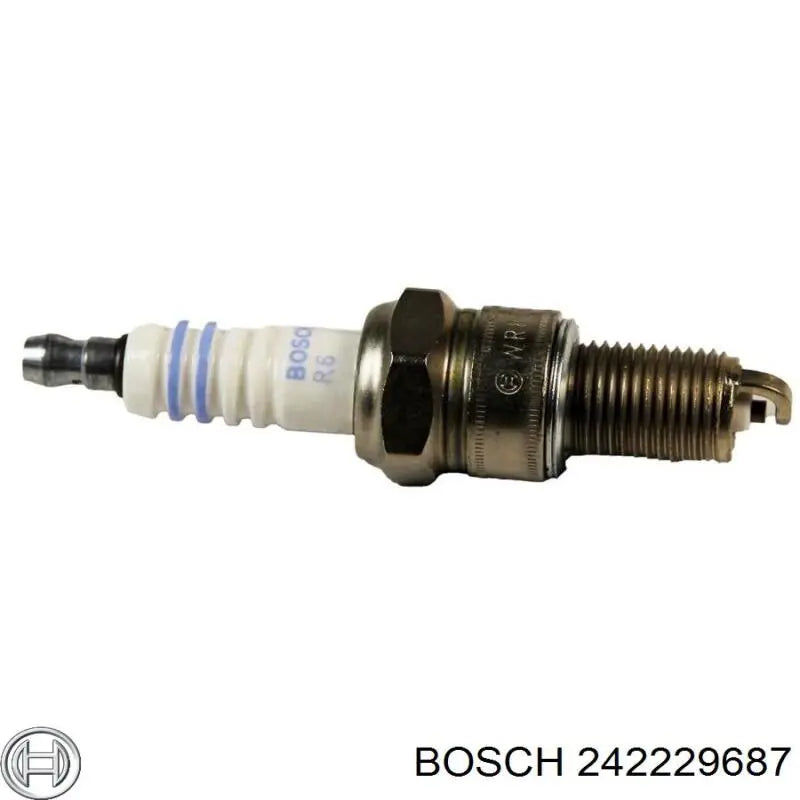 CANDELA WR8DCX+ (+22)