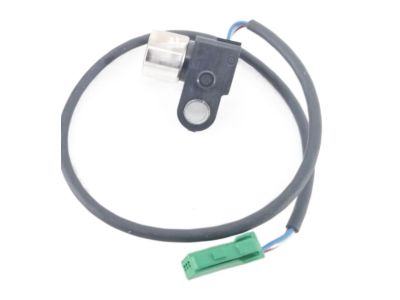 PARAOLIO(SIMMS-506618)