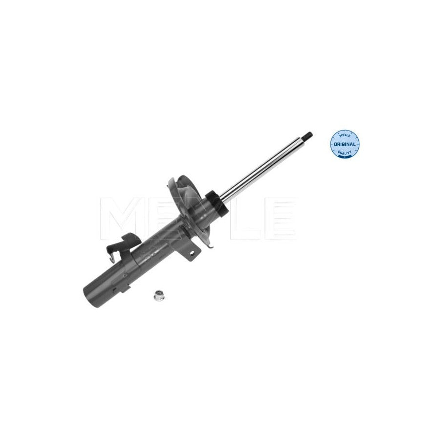 AMMORTIZZATORI FORD C-MAX I (02/07-09/10), FOCUS II (10/03-)