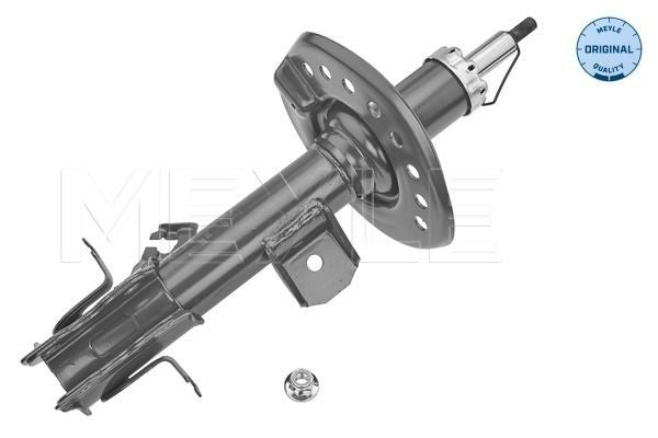 AMMORTIZZATORI  AUTO (F15) (06/10-)
