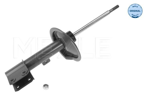 AMMORTIZZATORI CITROEN C4 I / COUPE / GRAND PICASSO / PICASSO / STUFENHECK (11/04-) PEUGEO