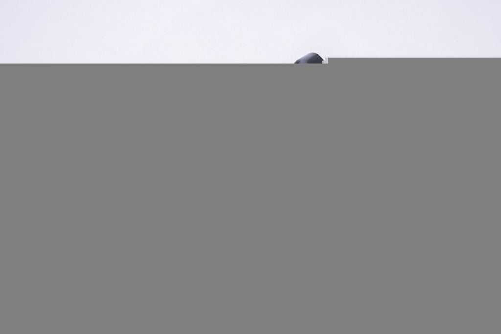 AMMORTIZZATORI ANTERIORE DX - SX GREAT WALL HOVER H5 2013