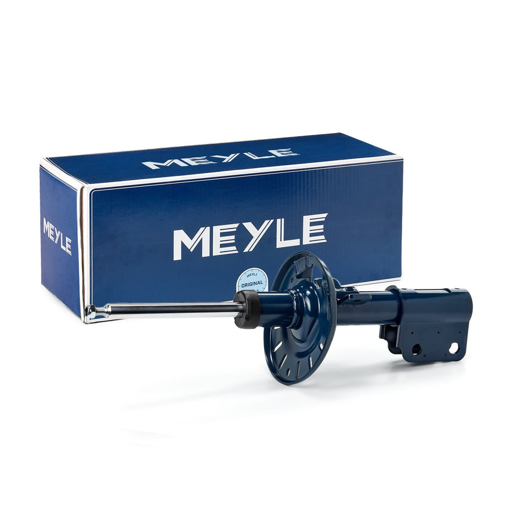 AMMORTIZZATORI CITROEN C4 I / COUPE / GRAND PICASSO / PICASSO / STUFENHECK (11/04-)