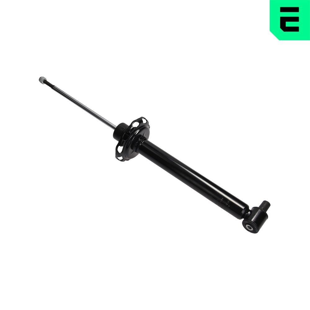 AMMORTIZZATORI POSTERIORE BILATERALE