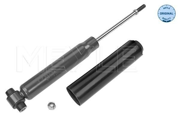 AMMORTIZZATORI CITROEN C4 GRAND PICASSO II (01/13-), C4 II / DS4 (02/09-), C5 AIRCROSS (11/