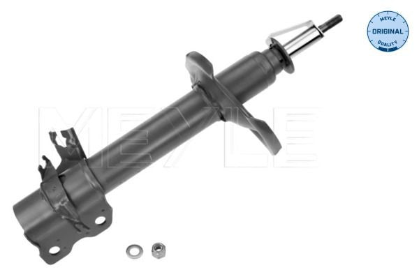AMMORTIZZATORI  AUTO (T30) (01/01-12/13)